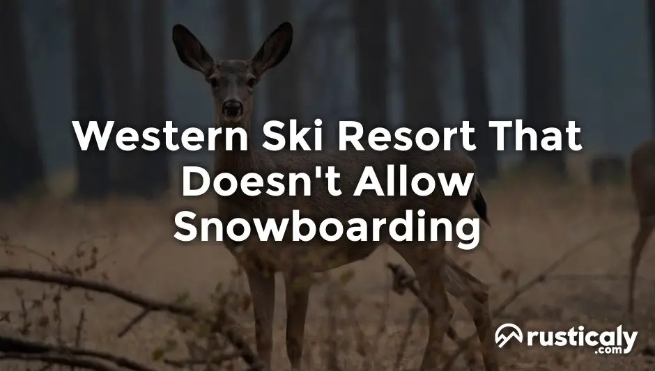 western ski resort that doesn't allow snowboarding
