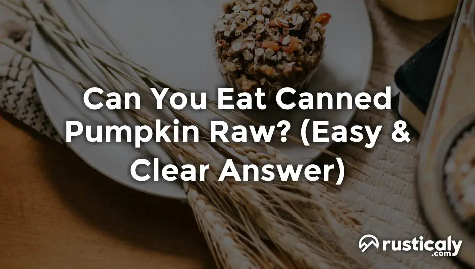 can you eat canned pumpkin raw