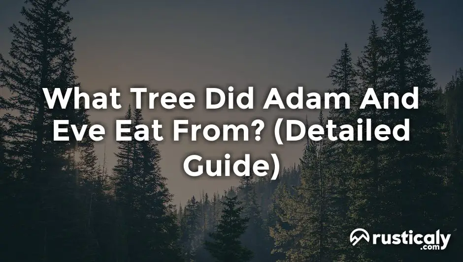 what tree did adam and eve eat from