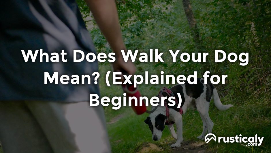 what does walk your dog mean