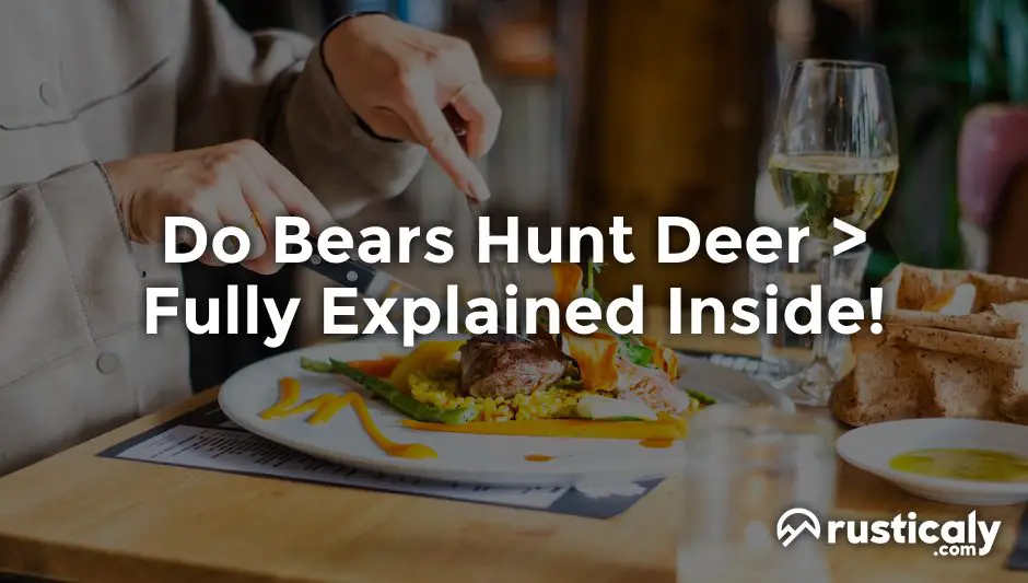 do bears hunt deer