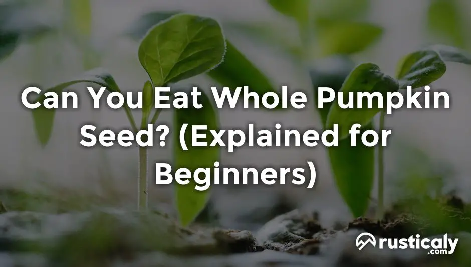 can you eat whole pumpkin seed