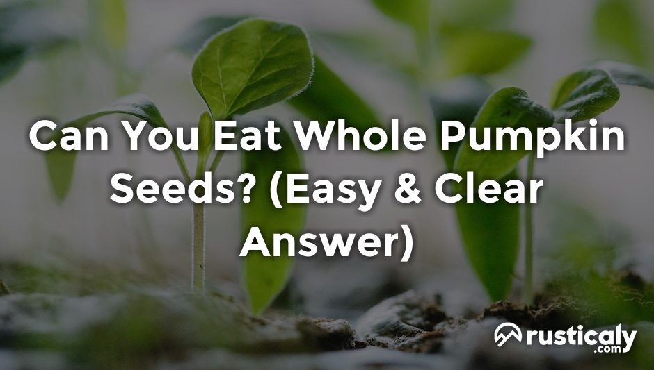 can you eat whole pumpkin seeds