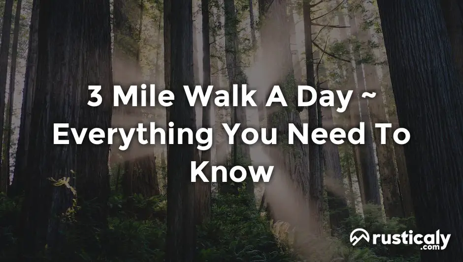 3 mile walk a day
