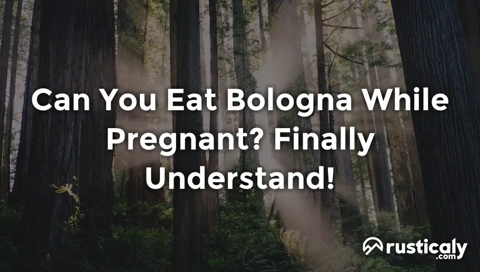 can you eat bologna while pregnant