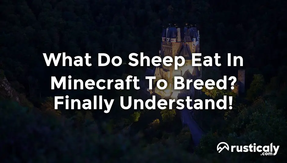 what do sheep eat in minecraft to breed