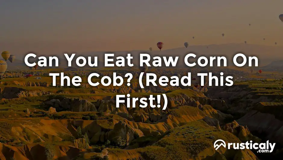 can you eat raw corn on the cob