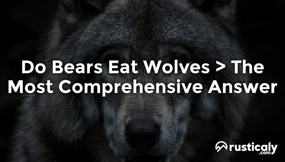 do bears eat wolves