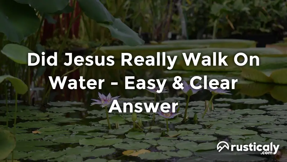 did jesus really walk on water