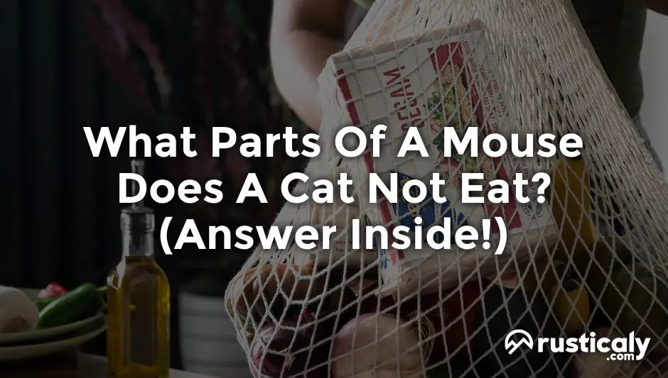 what parts of a mouse does a cat not eat