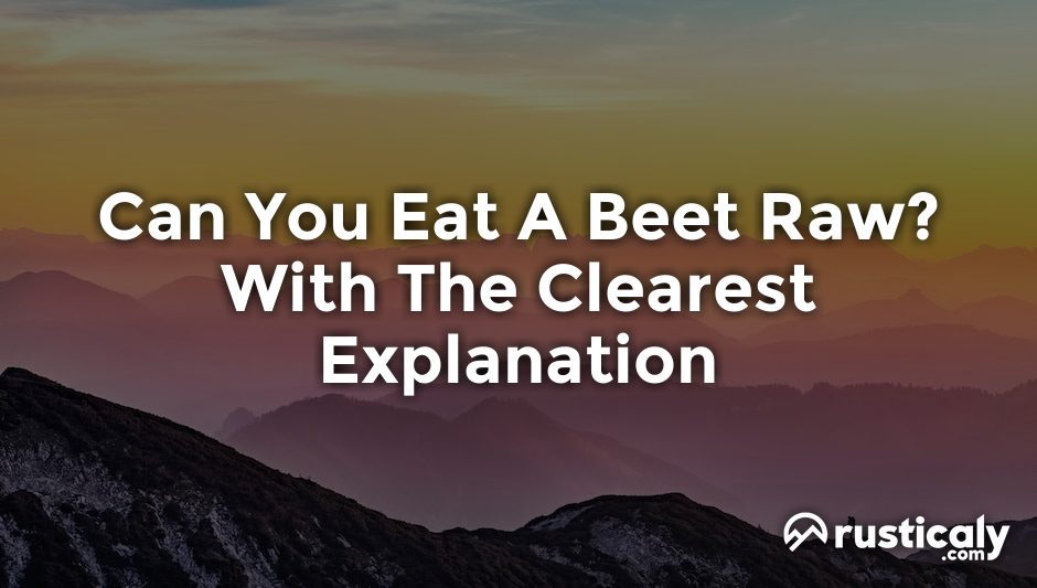 can you eat a beet raw
