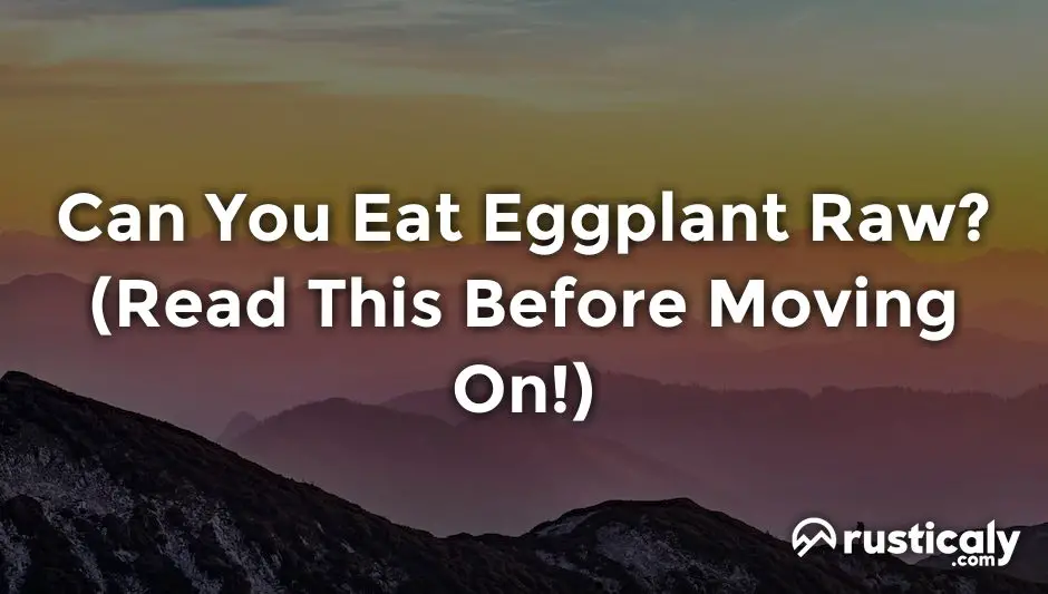 can you eat eggplant raw