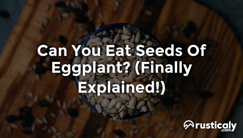 can you eat seeds of eggplant