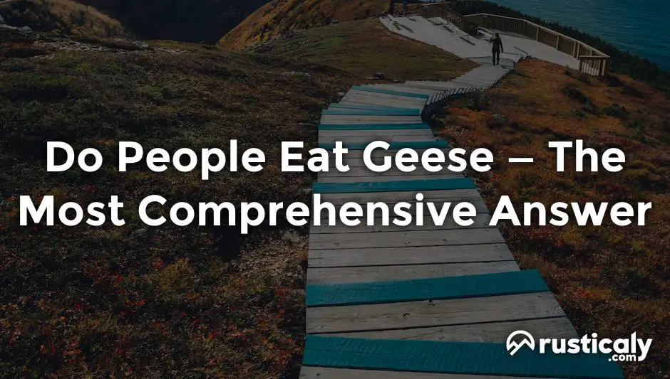 do people eat geese