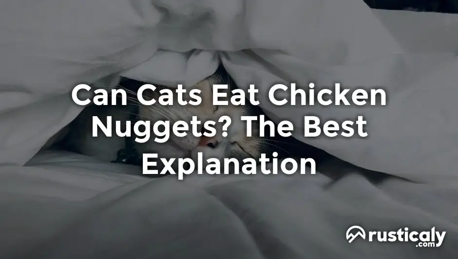 can cats eat chicken nuggets