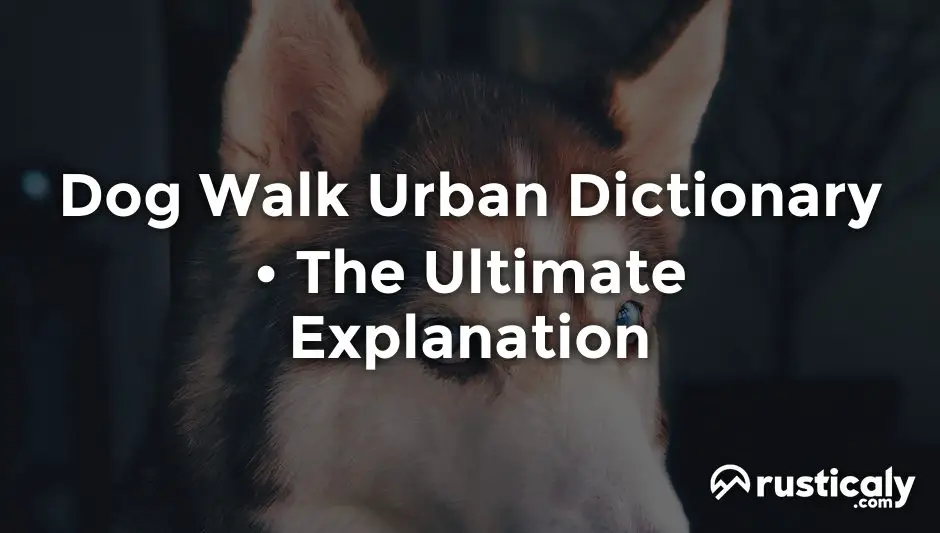 dog walk urban dictionary