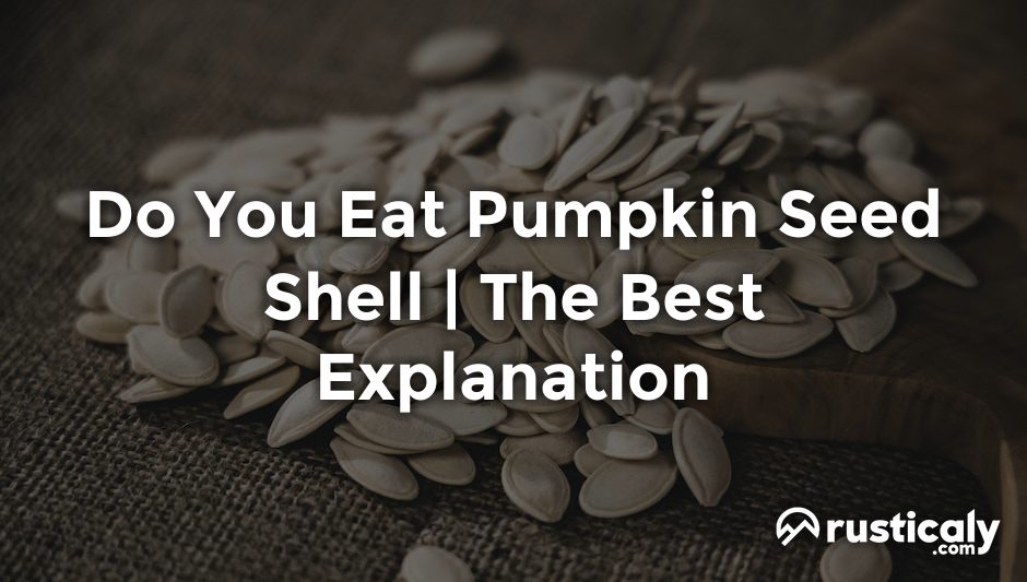 do you eat pumpkin seed shell