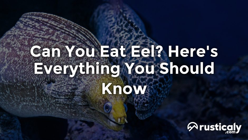 can you eat eel