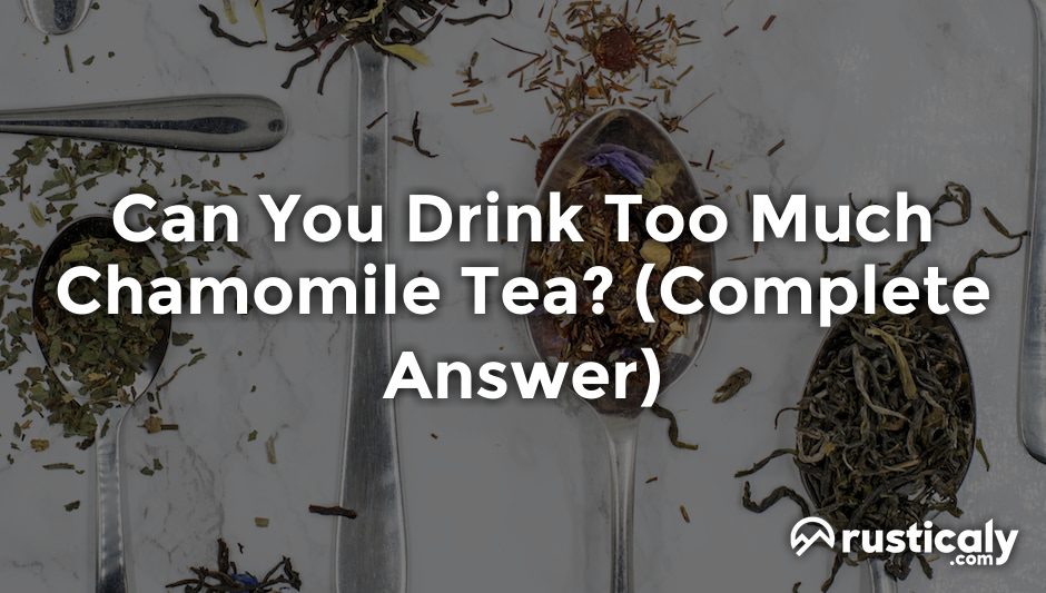 can you drink too much chamomile tea