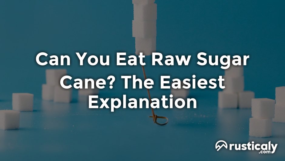 can you eat raw sugar cane