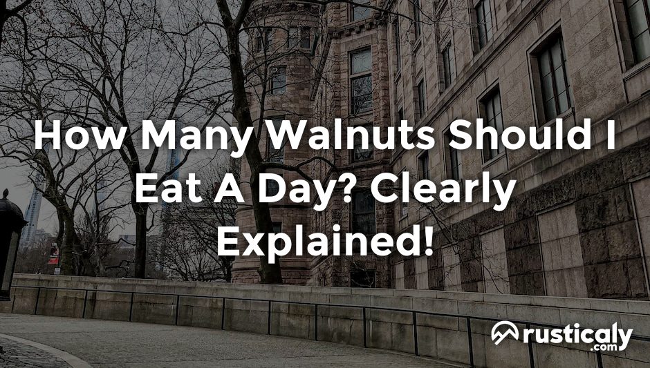 how many walnuts should i eat a day