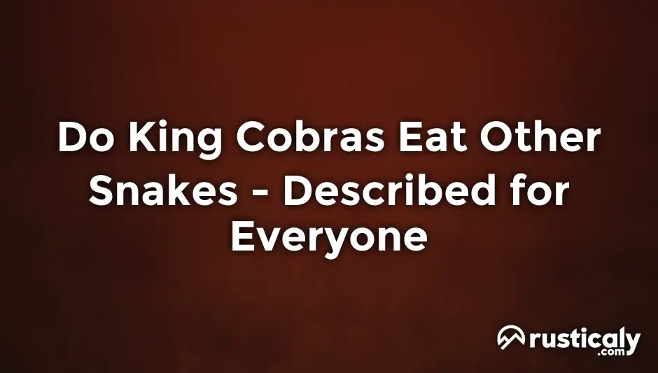 do king cobras eat other snakes