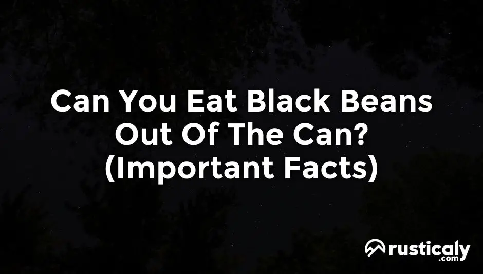 can you eat black beans out of the can