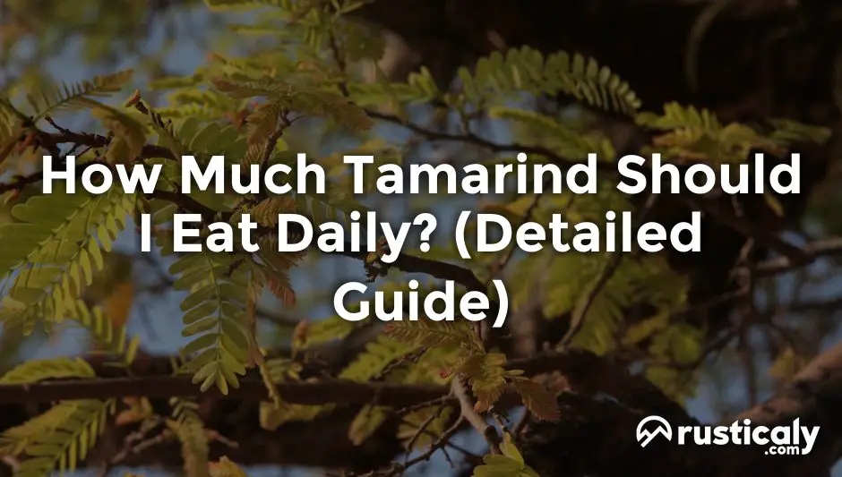 how much tamarind should i eat daily