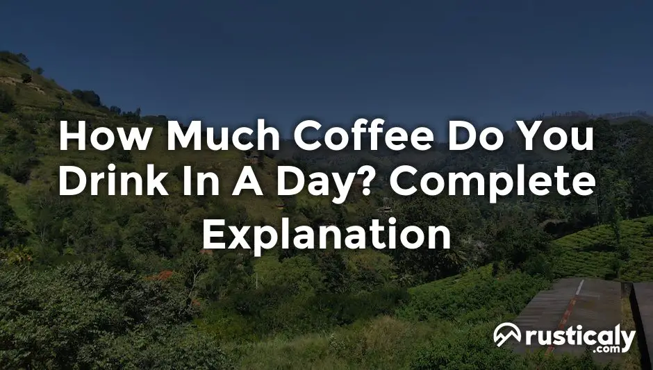 how much coffee do you drink in a day