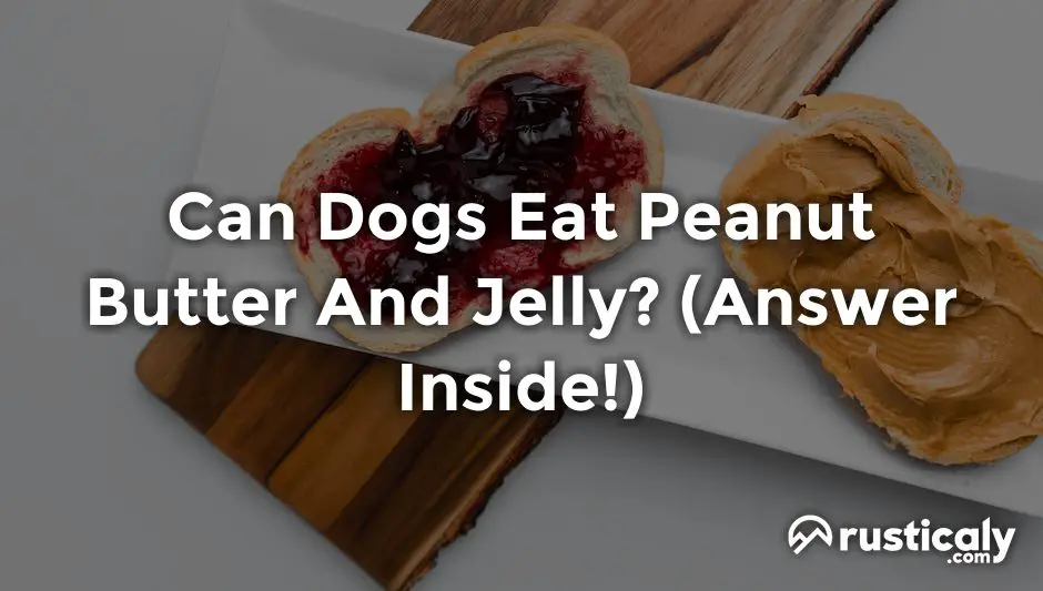 can dogs eat peanut butter and jelly