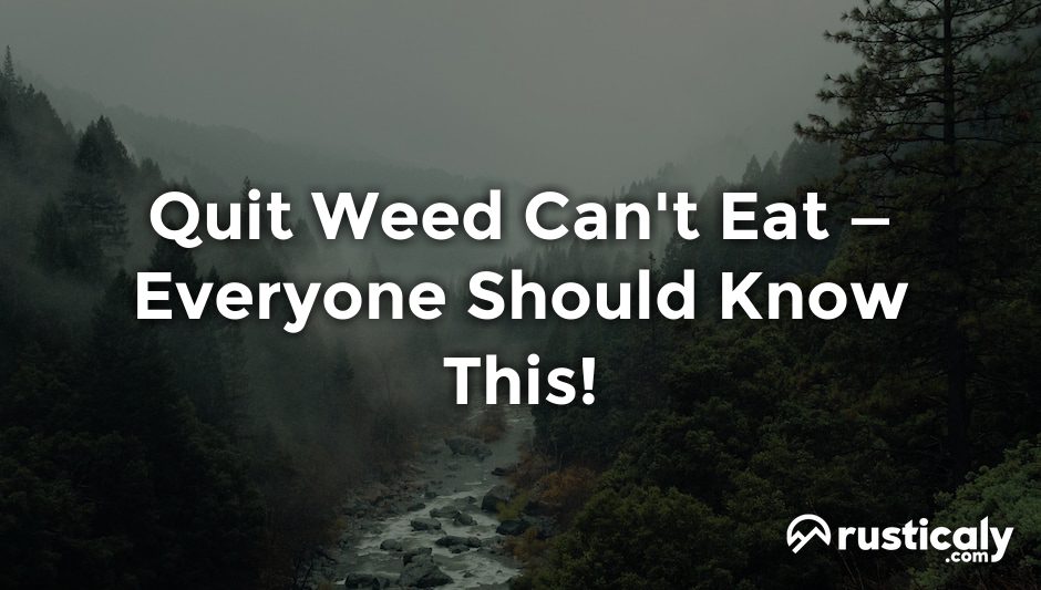 quit weed can't eat