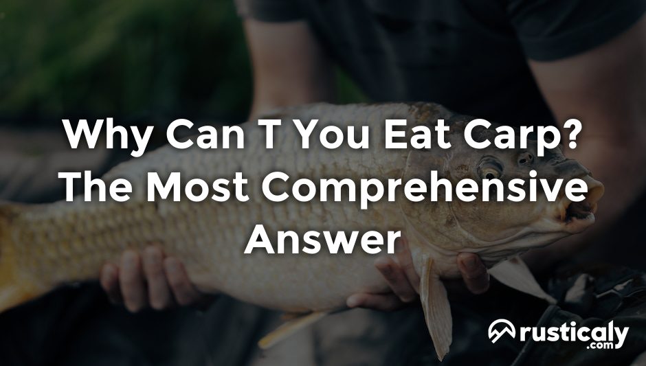 why can t you eat carp