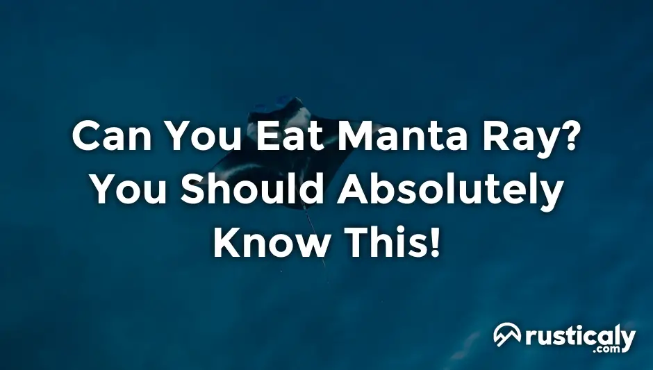 can you eat manta ray