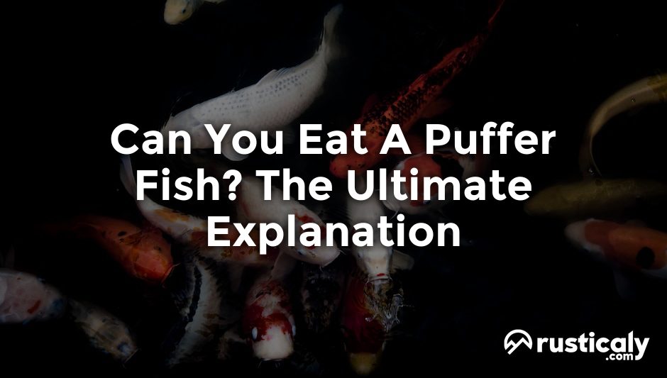 can you eat a puffer fish