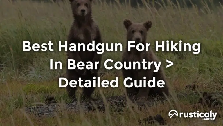 best handgun for hiking in bear country