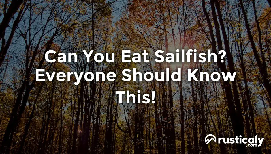 can you eat sailfish