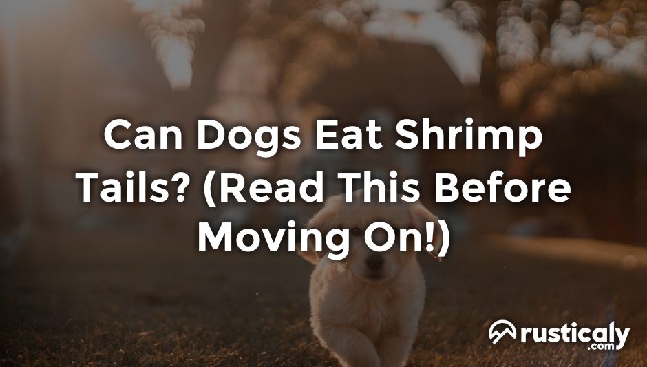 can dogs eat shrimp tails