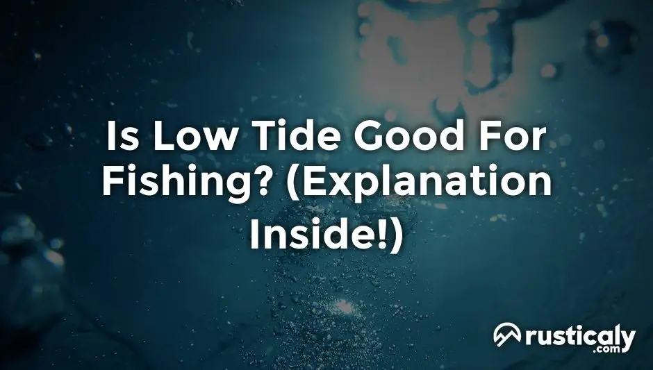 is low tide good for fishing