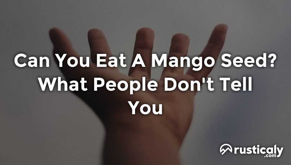 can you eat a mango seed