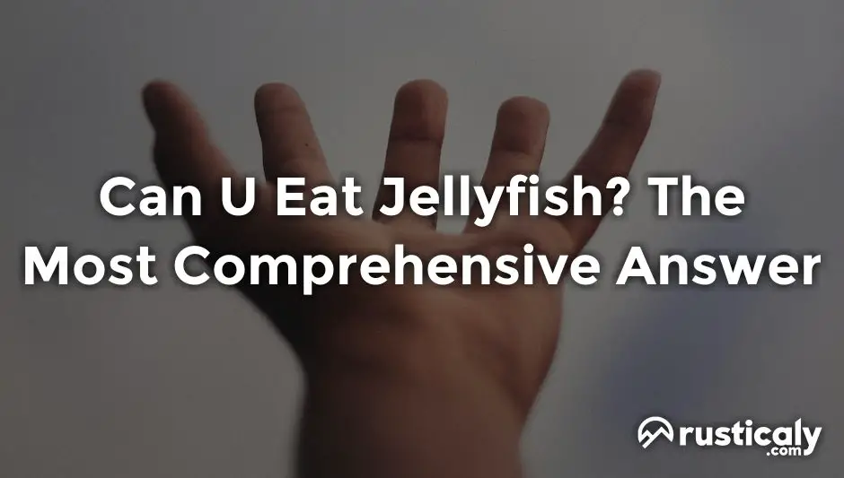 can u eat jellyfish