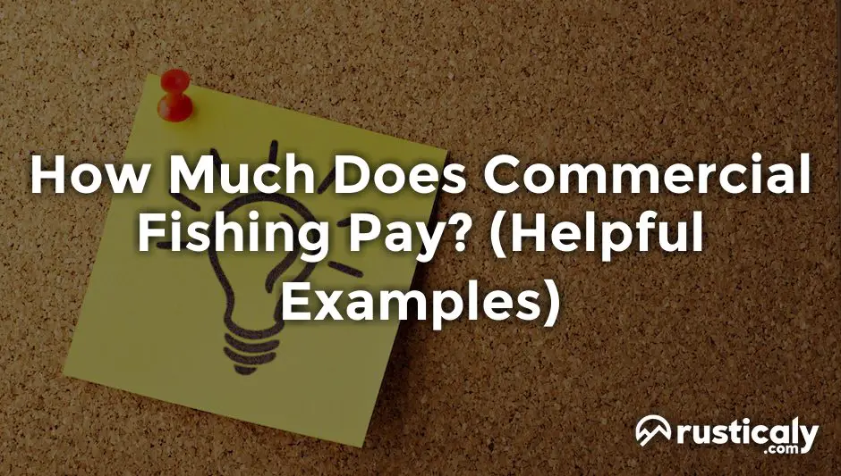 how much does commercial fishing pay