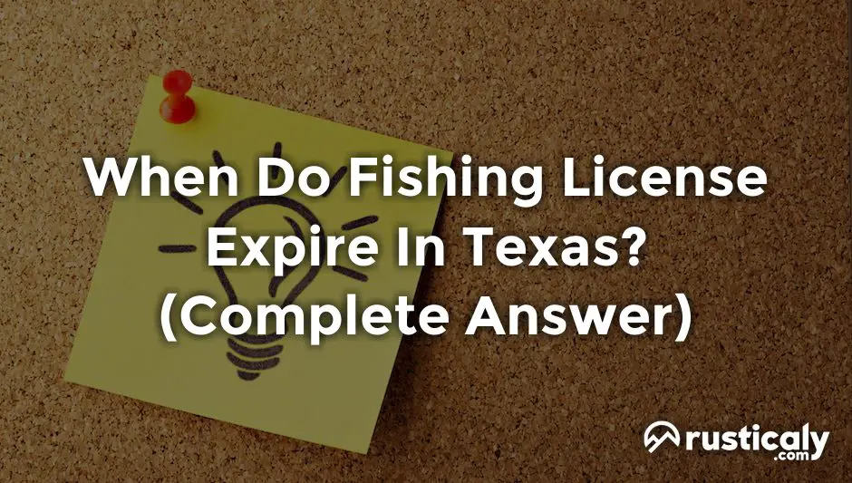 when do fishing license expire in texas