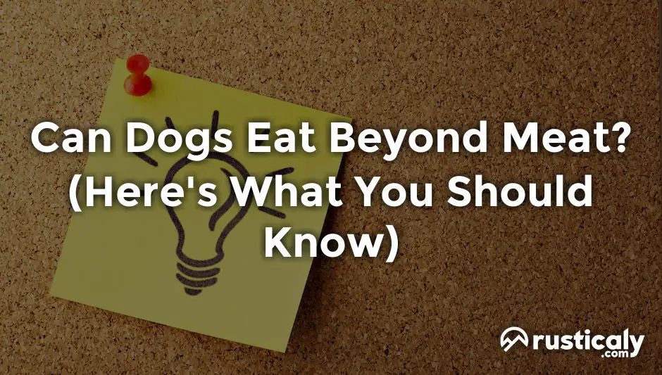 can dogs eat beyond meat