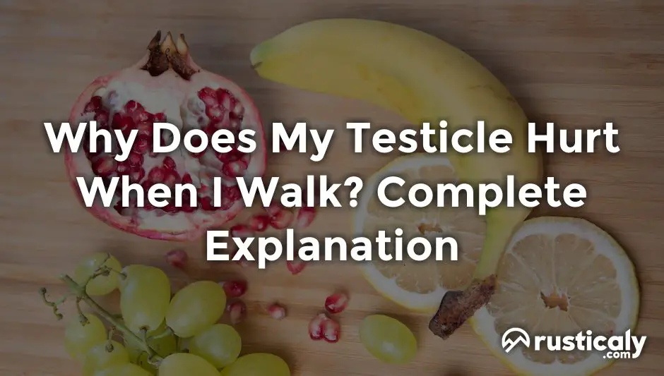 why does my testicle hurt when i walk