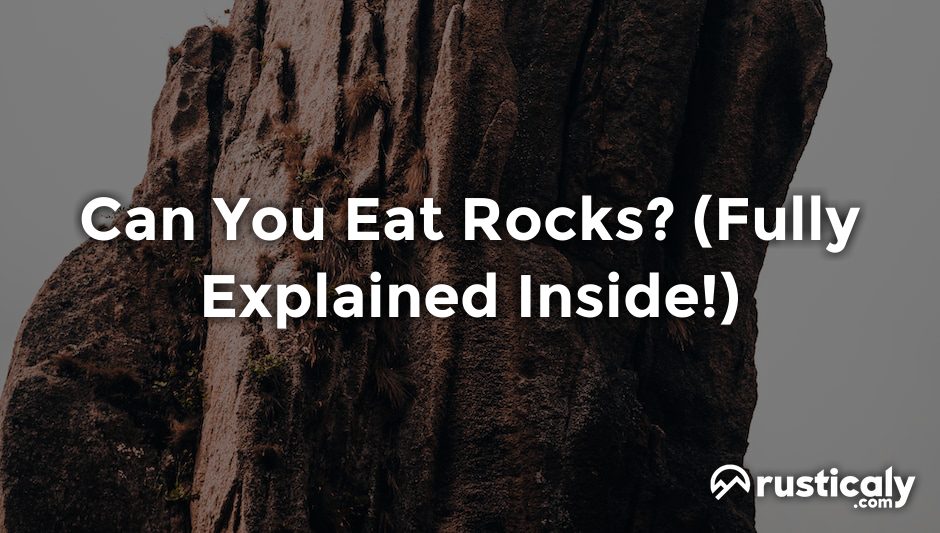 can you eat rocks