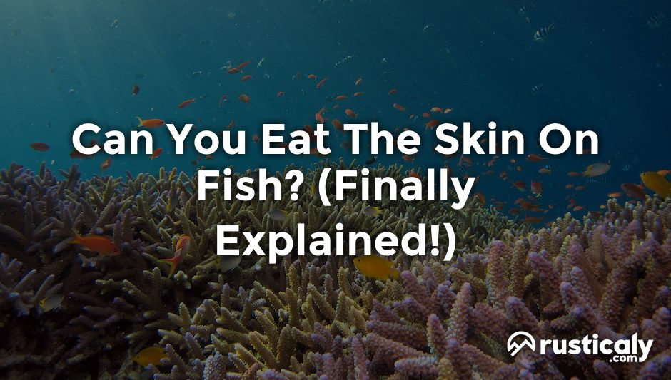 can you eat the skin on fish