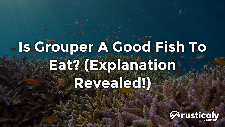 is grouper a good fish to eat