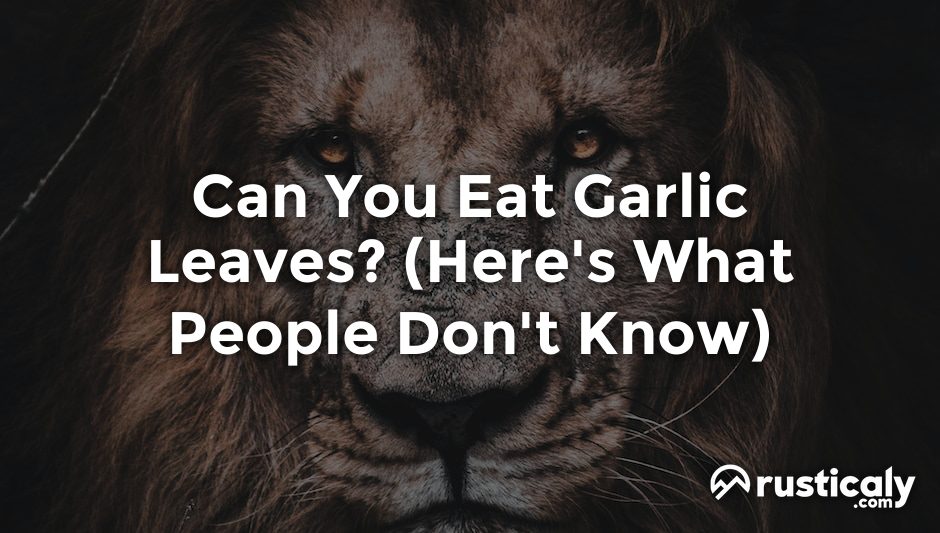 can you eat garlic leaves
