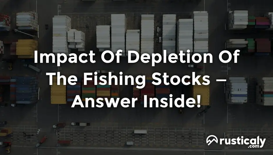 impact of depletion of the fishing stocks