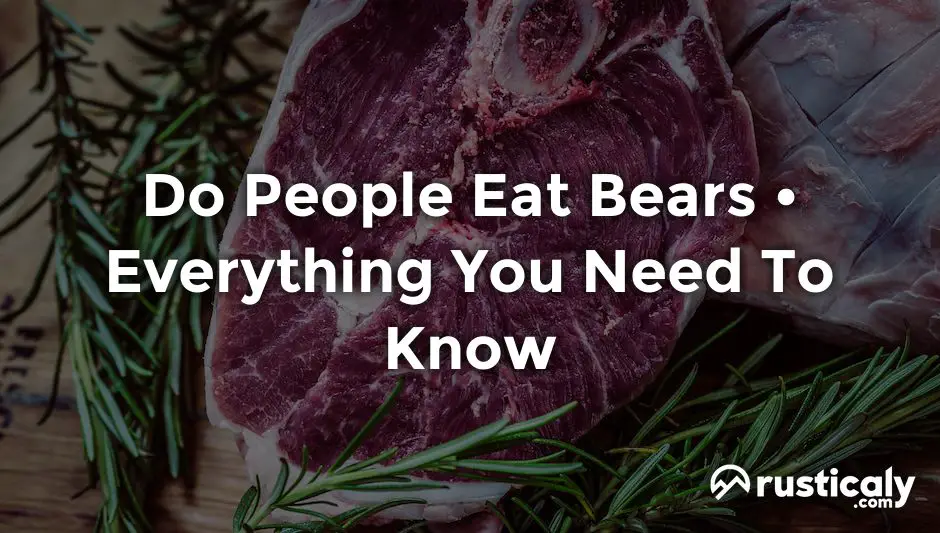 do people eat bears